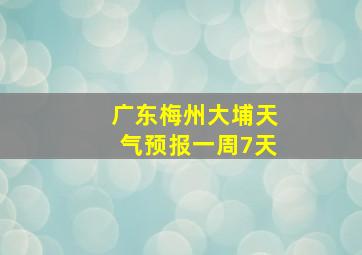 广东梅州大埔天气预报一周7天