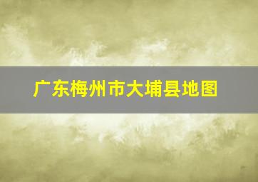 广东梅州市大埔县地图