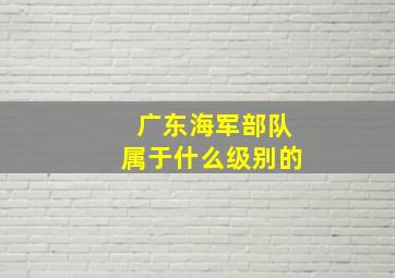 广东海军部队属于什么级别的