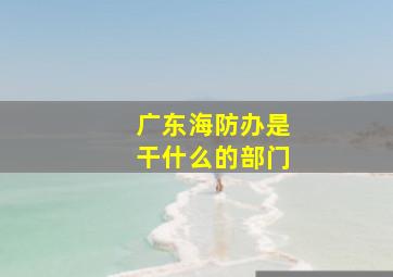 广东海防办是干什么的部门