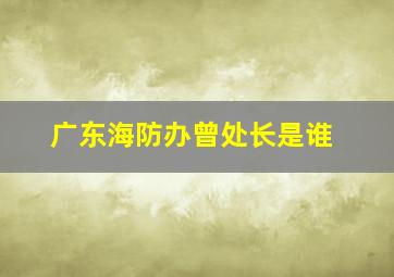 广东海防办曾处长是谁