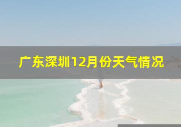 广东深圳12月份天气情况