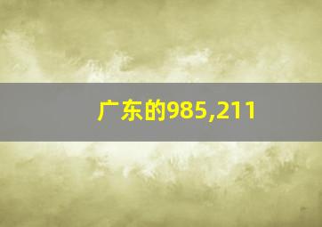 广东的985,211