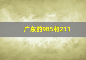 广东的985和211