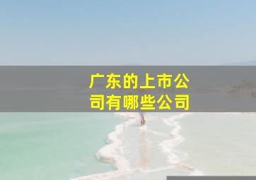 广东的上市公司有哪些公司