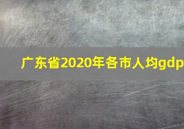 广东省2020年各市人均gdp