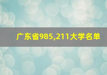 广东省985,211大学名单