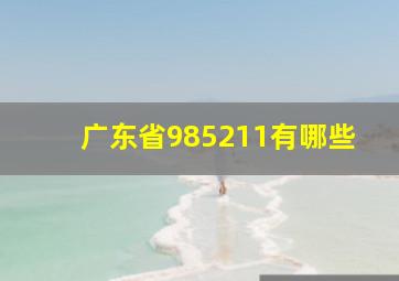 广东省985211有哪些