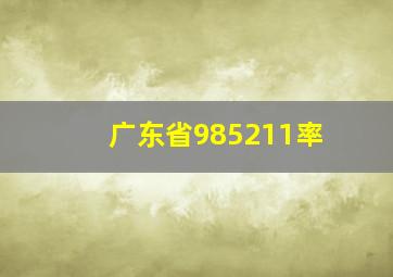 广东省985211率