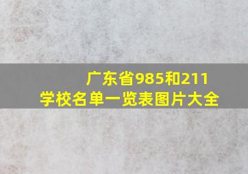 广东省985和211学校名单一览表图片大全