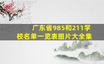 广东省985和211学校名单一览表图片大全集