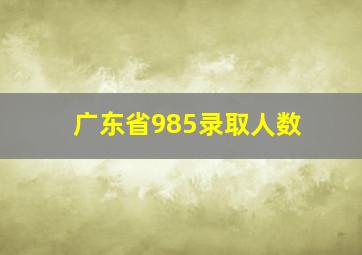 广东省985录取人数