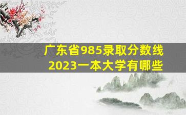 广东省985录取分数线2023一本大学有哪些