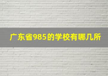 广东省985的学校有哪几所