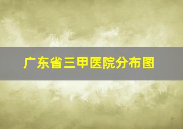 广东省三甲医院分布图