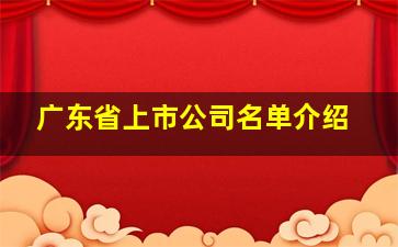 广东省上市公司名单介绍