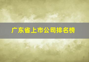 广东省上市公司排名榜