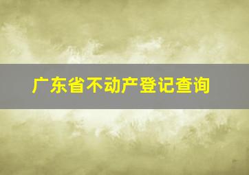 广东省不动产登记查询