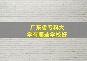 广东省专科大学有哪些学校好