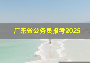 广东省公务员报考2025