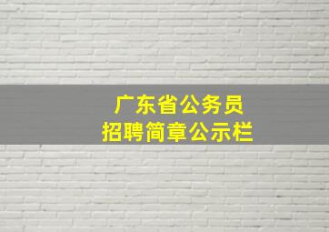 广东省公务员招聘简章公示栏