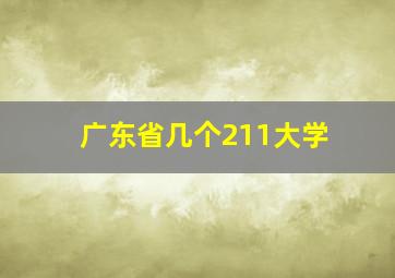 广东省几个211大学