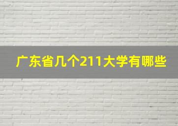 广东省几个211大学有哪些