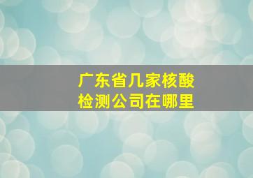 广东省几家核酸检测公司在哪里