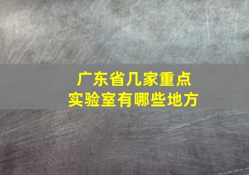 广东省几家重点实验室有哪些地方