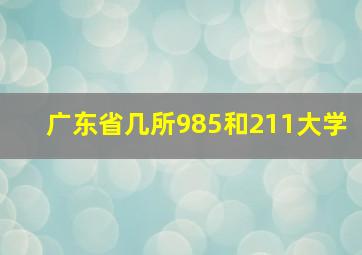 广东省几所985和211大学