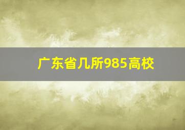 广东省几所985高校