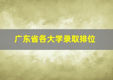 广东省各大学录取排位