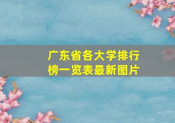 广东省各大学排行榜一览表最新图片