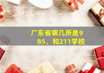 广东省哪几所是985、和211学校