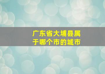 广东省大埔县属于哪个市的城市