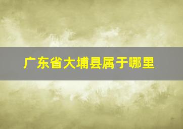 广东省大埔县属于哪里