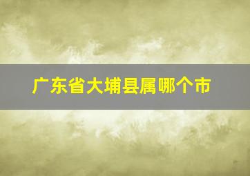 广东省大埔县属哪个市