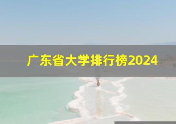 广东省大学排行榜2024