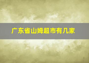 广东省山姆超市有几家