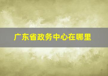 广东省政务中心在哪里