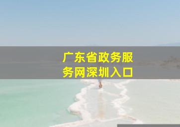 广东省政务服务网深圳入口