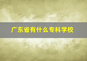 广东省有什么专科学校