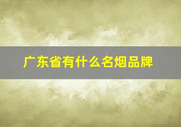 广东省有什么名烟品牌