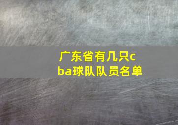 广东省有几只cba球队队员名单