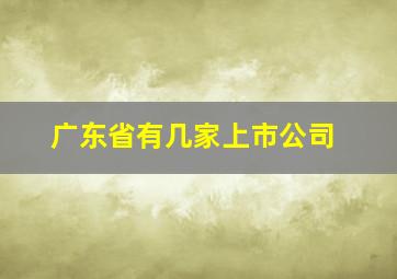 广东省有几家上市公司