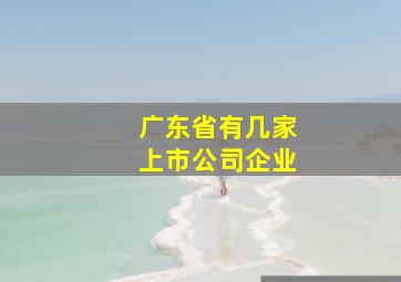 广东省有几家上市公司企业