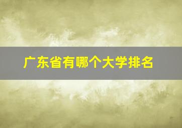 广东省有哪个大学排名