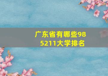 广东省有哪些985211大学排名