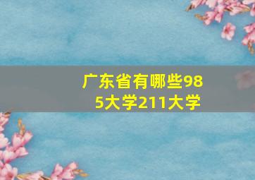 广东省有哪些985大学211大学