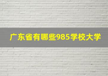 广东省有哪些985学校大学